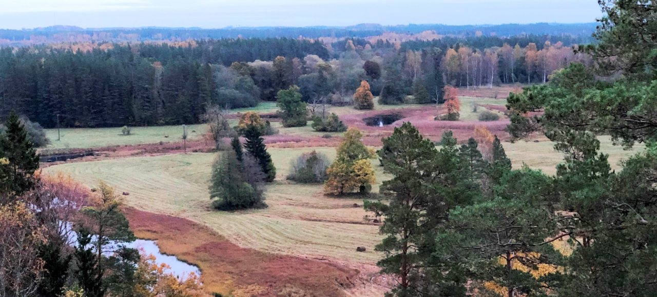 B0598FA1-664F-45B8-933A-E29E437A5FFD Gaujas vidustece